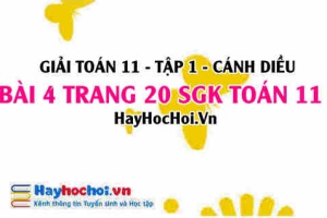 Giải bài 4 trang 20 Toán 11 tập 1 SGK Cánh Diều